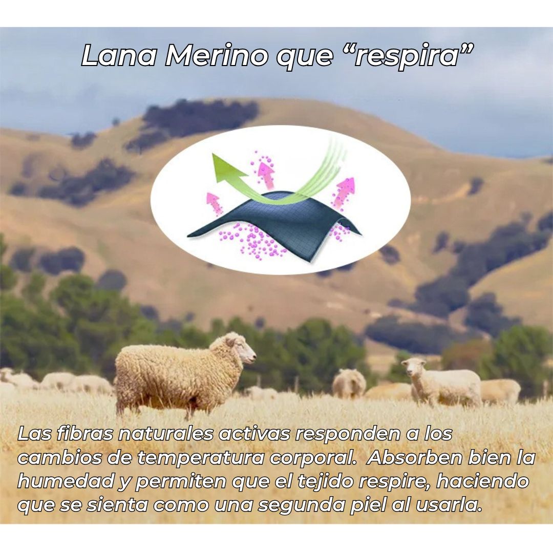 Primera capa Lana Merino J077 LAMEDA