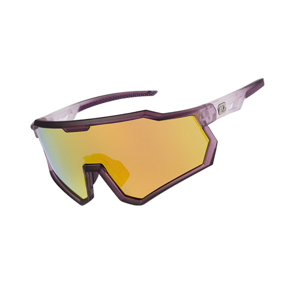 Lentes Polarizados LS-500 Lameda - Purple