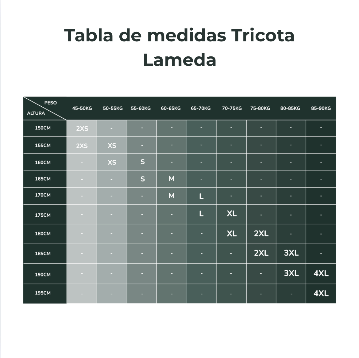 Tricota Aeris Z539 Lameda