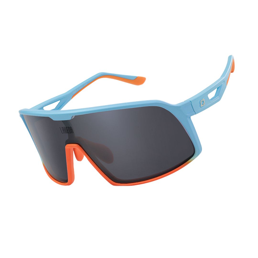 Lentes Policromados LS-450 Lameda